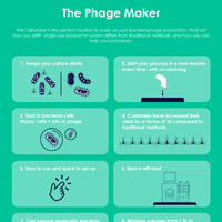 The Phage Maker infographic 200px